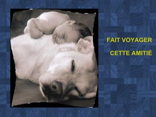 FAIT VOYAGER CETTE AMITIÉ 