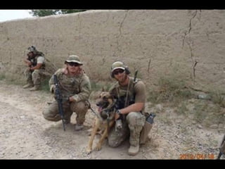 Veritable histoire d'amour 1 