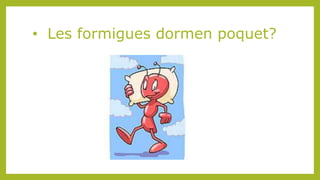 • Les formigues dormen poquet?
 