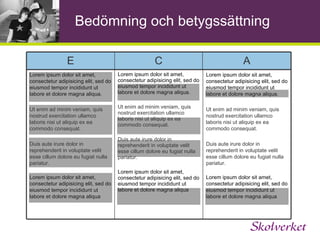 Bedömning 