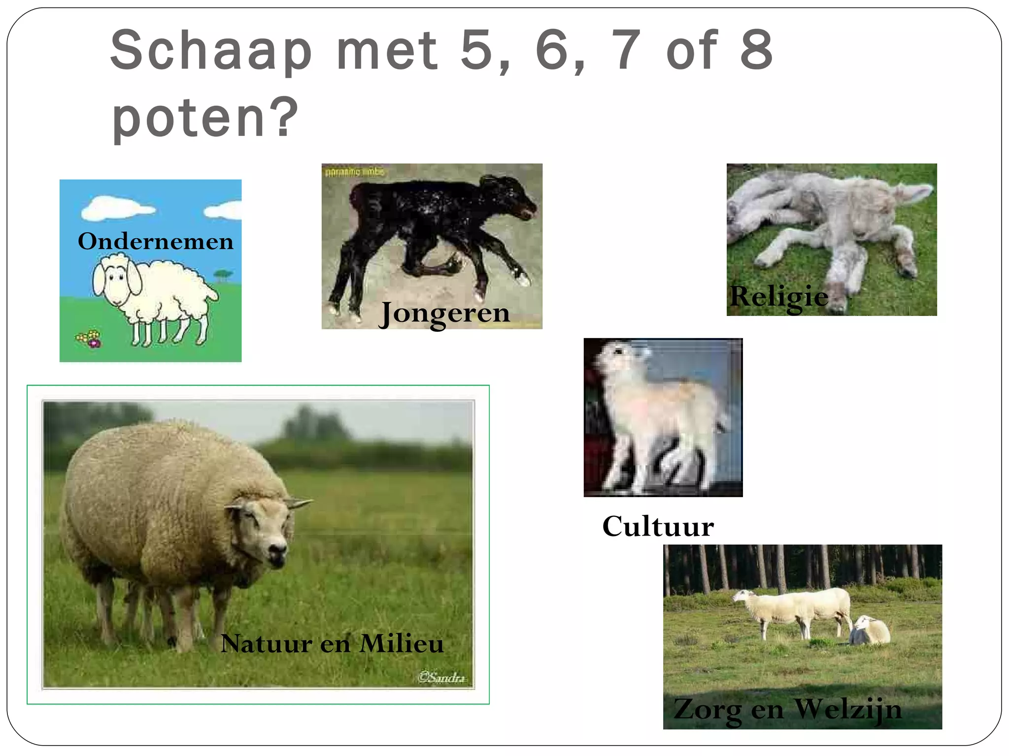 Schaap met 5, 6, 7 of 8 poten? Ondernemen Cultuur Zorg en Welzijn Religie Jongeren Natuur en Milieu 