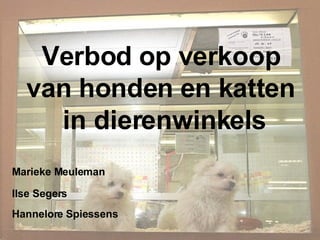 Verbod op verkoop  van honden en katten  in dierenwinkels Marieke Meuleman Ilse Segers Hannelore Spiessens 