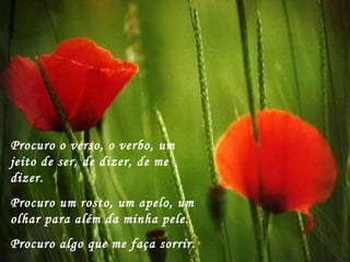 Procuro o verso, o verbo, um jeito de ser, de dizer, de me dizer.  Procuro um rosto, um apelo, um olhar para além da minha pele. Procuro algo que me faça sorrir. 