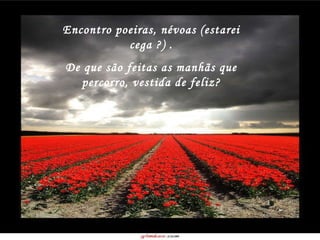 Encontro poeiras, névoas (estarei cega ?) . De que são feitas as manhãs que percorro, vestida de feliz? 