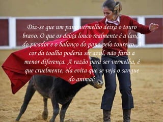 Diz-se que um pano vermelho deixa o touro
bravo. O que os deixa louco realmente é a lança
do picador e o balanço do pano pelo toureiro. A
cor da toalha poderia ser azul, não faria a
menor diferença. A razão para ser vermelha, é
que cruelmente, ela evita que se veja o sangue
do animal;
 