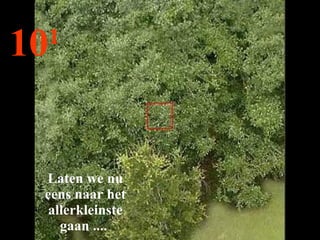 10 1 Laten we nu eens naar het allerkleinste gaan ....  