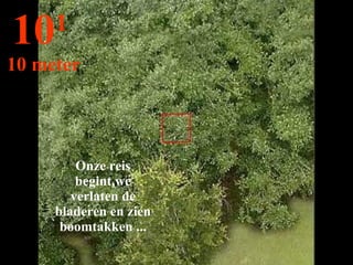 Onze reis begint,we verlaten de bladeren en zien boomtakken ... 10 1   10 meter 