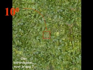 Ons vertrekpunt,weet je nog ? 10 0 