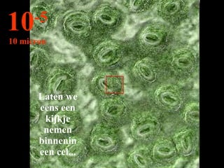 Laten we eens een kijkje nemen binnenin een cel... 10 -5 10 micron 