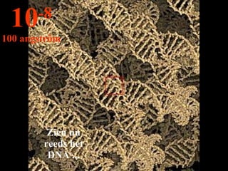 Zien nu reeds het DNA ... 10 -8 100 angström 