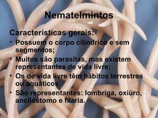 Nematelmintos
Características gerais:
• Possuem o corpo cilíndrico e sem
segmentos;
• Muitos são parasitas, mas existem
representantes de vida livre;
• Os de vida livre têm hábitos terrestres
ou aquáticos;
• São representantes: lombriga, oxiúro,
ancilóstomo e filaria.
 