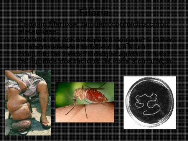 A prevenção da pastilha rasteja decarice