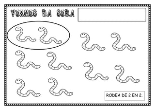 VERMES DA SEDA




                 RODEA DE 2 EN 2.
 