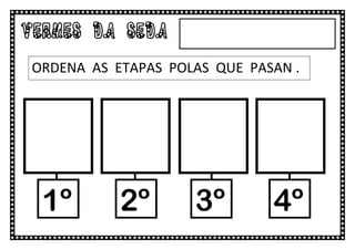 VERMES DA SEDA
 ORDENA AS ETAPAS POLAS QUE PASAN .




  1º        2º       3º        4º
 