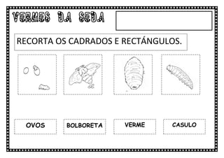 VERMES DA SEDA
RECORTA OS CADRADOS E RECTÁNGULOS.




  OVOS    BOLBORETA   VERME     CASULO
 