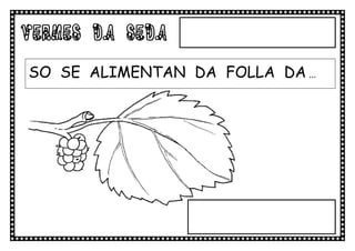 VERMES DA SEDA
SO SE ALIMENTAN DA FOLLA DA ...
 