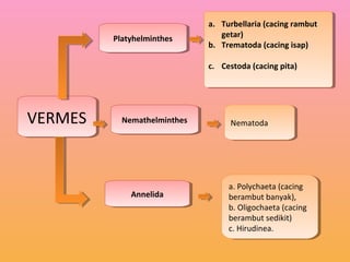 VERMESVERMES
PlatyhelminthesPlatyhelminthes
NemathelminthesNemathelminthes
AnnelidaAnnelida
a. Turbellaria (cacing rambut
getar)
b. Trematoda (cacing isap)
c. Cestoda (cacing pita)
a. Turbellaria (cacing rambut
getar)
b. Trematoda (cacing isap)
c. Cestoda (cacing pita)
NematodaNematoda
a. Polychaeta (cacing
berambut banyak),
b. Oligochaeta (cacing
berambut sedikit)
c. Hirudinea.
a. Polychaeta (cacing
berambut banyak),
b. Oligochaeta (cacing
berambut sedikit)
c. Hirudinea.
 
