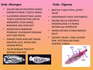 • DALAM SIKLUS HIDUPNYA HANYA
MEMBUTUHKAN 1 (SATU) INANG.
• SUCKERNYA BESAR PADA UJUNG
TUBUH (OPHISTAPTOR) UNTUK
MENEMPEL PADA INANG,
BIASANYA ADA DURI KAIT
• MEMPUNYAI BEBERAPA
PENGISAP, DILENGKAPI DENGAN
KAIT DARI KHITIN
• PARASIT PADA IKAN AIR TAWAR
MAUPUN LAUT, KATAK DAN
HEWAN REPTIL
• TELUR DENGAN PENUTUP
BENANG DAN KAIT
Ordo : Digenea
• BENTUK TUBUH PIPIH, SEPRTI
DAUN
• ENDOPARASIT PADA VERTEBRATA
• DALAM SIKLUS HIDUPNYA
MEMERLUKAN 2-4 INANG
ANTARA dan KOMPLEKS
• INANG ANTARA UTAMA BERUPA
SIPUT
• SUCKER 2 BUAH : ORAL SUCKER
DAN OCETABULUM PADA
VENTRAL TUBUH
Ordo :Monogea
 