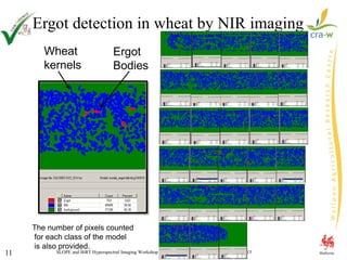 SLOPE and BiRT Hyperspectral Imaging Workshop - BOKU-UFT , Tulln Austria, 20th March 201511
Ergot detection in wheat by NIR imaging
Wheat
kernels
Ergot
Bodies
The number of pixels counted
for each class of the model
is also provided.
 