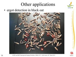 SLOPE and BiRT Hyperspectral Imaging Workshop - BOKU-UFT , Tulln Austria, 20th March 201518
Other applications
• ergot detection in black oat
 