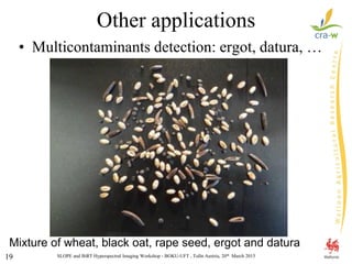 SLOPE and BiRT Hyperspectral Imaging Workshop - BOKU-UFT , Tulln Austria, 20th March 201519
Other applications
• Multicontaminants detection: ergot, datura, …
Mixture of wheat, black oat, rape seed, ergot and datura
 