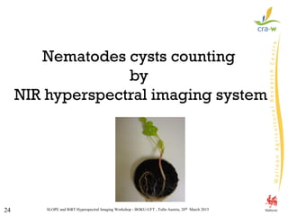 SLOPE and BiRT Hyperspectral Imaging Workshop - BOKU-UFT , Tulln Austria, 20th March 201524
Nematodes cysts counting
by
NIR hyperspectral imaging system
 