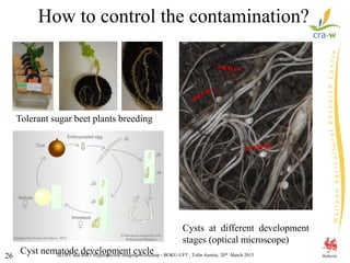 SLOPE and BiRT Hyperspectral Imaging Workshop - BOKU-UFT , Tulln Austria, 20th March 201526
How to control the contamination?
Cyst nematode development cycle
Tolerant sugar beet plants breeding
Cysts at different development
stages (optical microscope)
 
