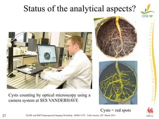 SLOPE and BiRT Hyperspectral Imaging Workshop - BOKU-UFT , Tulln Austria, 20th March 201527
Status of the analytical aspects?
Cysts counting by optical microscopy using a
camera system at SES VANDERHAVE
Cysts = red spots
 