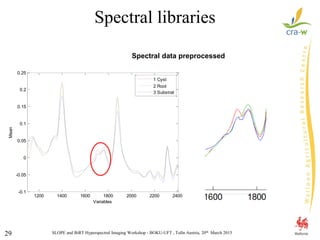 SLOPE and BiRT Hyperspectral Imaging Workshop - BOKU-UFT , Tulln Austria, 20th March 201529
Spectral libraries
Spectral data preprocessed
1200 1400 1600 1800 2000 2200 2400
-0.1
-0.05
0
0.05
0.1
0.15
0.2
0.25
Variables
Mean
1 Cyst
2 Root
3 Substrat
 