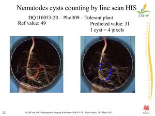 SLOPE and BiRT Hyperspectral Imaging Workshop - BOKU-UFT , Tulln Austria, 20th March 201532
DQ110053-20 – Plot309 – Tolerant plant
Ref value: 49 Predicted value: 31
1 cyst = 4 pixels
Nematodes cysts counting by line scan HIS
 