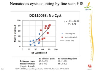 SLOPE and BiRT Hyperspectral Imaging Workshop - BOKU-UFT , Tulln Austria, 20th March 201533
10 Tolerant plants 10 Susceptible plants
Reference values 40 (24-51) 69 (51-82)
Predicted values 21 (5-49) 58 (26-82)
(1 cyst = 4 pixels)
Nematodes cysts counting by line scan HIS
 