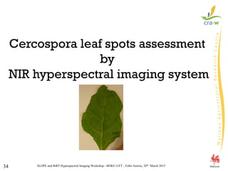 SLOPE and BiRT Hyperspectral Imaging Workshop - BOKU-UFT , Tulln Austria, 20th March 201534
Cercospora leaf spots assessment
by
NIR hyperspectral imaging system
 