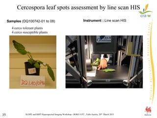 SLOPE and BiRT Hyperspectral Imaging Workshop - BOKU-UFT , Tulln Austria, 20th March 201535
Samples (DQ100742-01 to 08) Instrument : Line scan HIS
Cercospora leaf spots assessment by line scan HIS
4 cerco tolerant plants
4 cerco susceptible plants
 