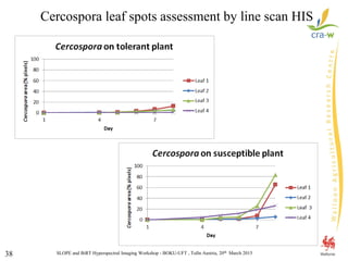 SLOPE and BiRT Hyperspectral Imaging Workshop - BOKU-UFT , Tulln Austria, 20th March 201538
Cercospora leaf spots assessment by line scan HIS
 