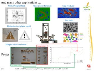 SLOPE and BiRT Hyperspectral Imaging Workshop - BOKU-UFT , Tulln Austria, 20th March 201539
Crop residuesToxic plants (Senecio)Animal/vegetal feed
Melamine in soybean meal)
Collagen inside the bones
Collagen (COL+)
No collagen (COL-)
1200 1400 1600 1800 2000 2200 2400
1000
2000
3000
4000
5000
6000
7000
8000
Wavelengths (nm)
Absorbance
Collagen classes: mean spectra
COL+
COL-
Dry fruits
Poster
And many other applications …
 