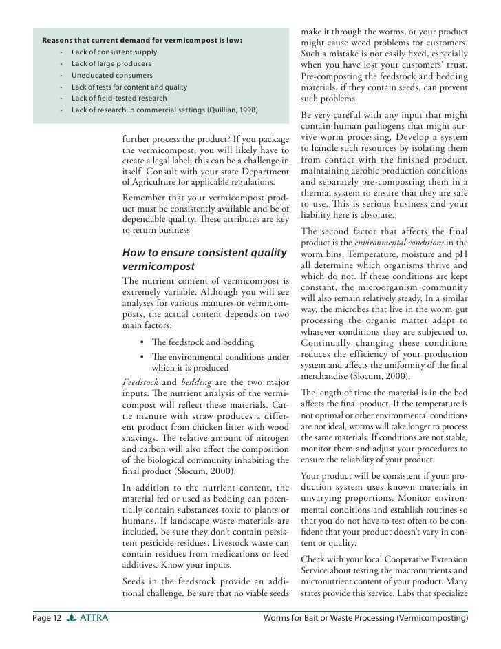 essay my career path development