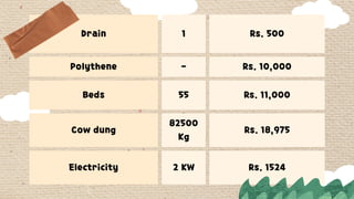 Drain 1 Rs. 500
Polythene - Rs. 10,000
Beds 55 Rs. 11,000
Cow dung
82500
Kg
Rs. 18,975
Electricity 2 KW Rs. 1524
 