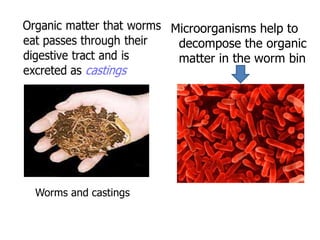 Vermicompost.pptx