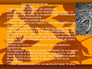 Las lombrices componen las compostas.
De las muchas especies de lombrices que existen, la
lombriz Eisenia foetida. Es la especie más recomendada
para cría en la lombricultura.
 Sus principales ventajas son:
Vive en cautiverio sin fugarse y bajo distintas condiciones
de clima y altitud;
Madura sexualmente entre el segundo y tercer mes de
vida, depositando cada 7 a 10 días una cápsula con un
contenido de 2 a 7 embriones. Esta cápsula revienta a los
20 o 21 días. De este modo cada lombriz puede producir
cerca de 13,000 lombrices en un año, a través de cuatro
generaciones.
Come con mucha voracidad todo tipo de desechos
agropecuarios;
Su digestión produce enormes cantidades de humus que
es la base de la fertilidad del suelo. Una lombriz Eisenia
foetida come un grano de tierra y materia orgánica diario, y
de ahí el 60% lo convierte en abono y el 40% es su
alimentación;
Y bien cuidada puede vivir en cautiverio hasta 15 años.
Caracteristicas de las
lombrices:
 