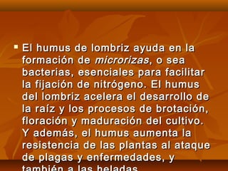  El humus de lombriz ayuda en laEl humus de lombriz ayuda en la
formación deformación de microrizasmicrorizas, o sea, o sea
bacterias, esenciales para facilitarbacterias, esenciales para facilitar
la fijación de nitrógeno. El humusla fijación de nitrógeno. El humus
del lombriz acelera el desarrollo dedel lombriz acelera el desarrollo de
la raíz y los procesos de brotación,la raíz y los procesos de brotación,
floración y maduración del cultivo.floración y maduración del cultivo.
Y además, el humus aumenta laY además, el humus aumenta la
resistencia de las plantas al ataqueresistencia de las plantas al ataque
de plagas y enfermedades, yde plagas y enfermedades, y
 