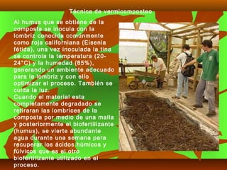 Al humus que se obtiene de la
composta se inocula con la
lombriz conocida comúnmente
como roja californiana (Eisenia
fétida), una vez inoculada la tina
se controla la temperatura (20-
24°C) y la humedad (85%),
generando un ambiente adecuado
para la lombriz y con ello
optimizar el proceso. También se
cuida la luz.
Cuando el material esta
completamente degradado se
retiraran las lombrices de la
composta por medio de una malla
y posteriormente el biofertilizante
(humus), se vierte abundante
agua durante una semana para
recuperar los ácidos húmicos y
fúlvicos que es el otro
biofertilizante utilizado en el
proceso.
Técnica de vermicomposteo
 
