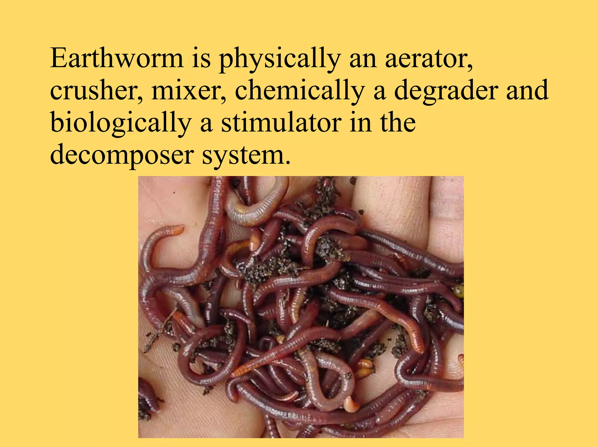 Vermicomposting | PDF