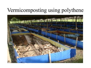 Vermicomposting using polythene
 