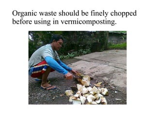 Organic waste should be finely chopped
before using in vermicomposting.
 