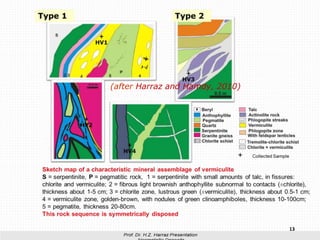 13
(after Harraz and Hamdy, 2010)
 