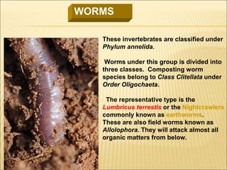 Vermiculture techniques and advantages | PPT
