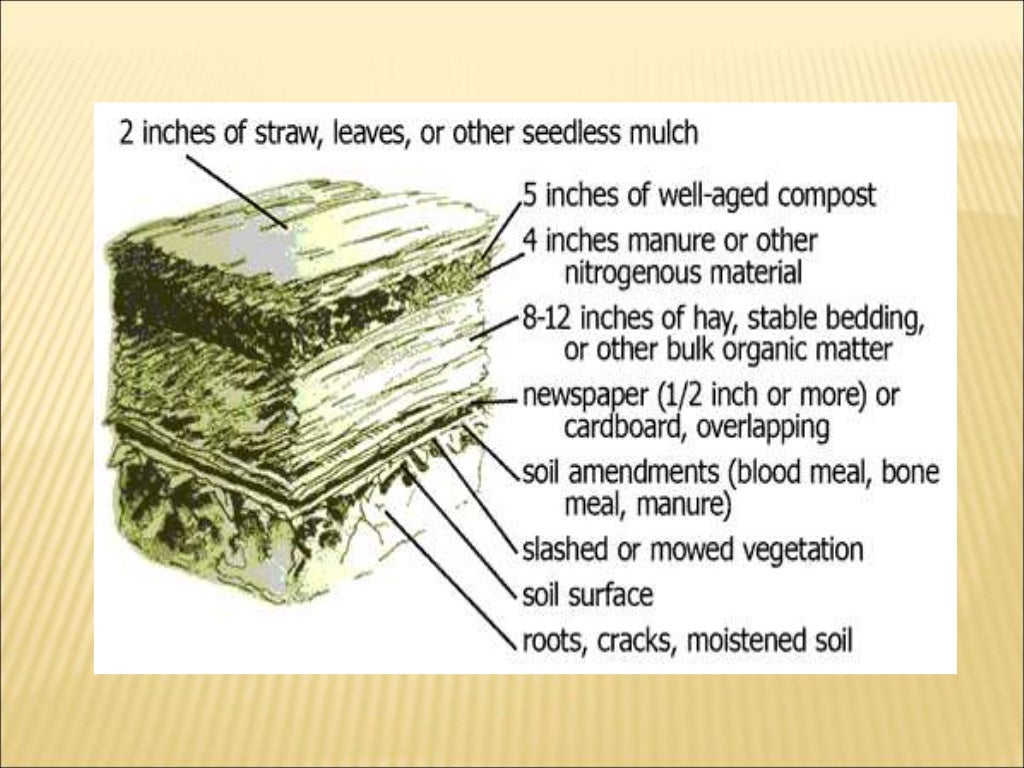 Vermiculture techniques and advantages