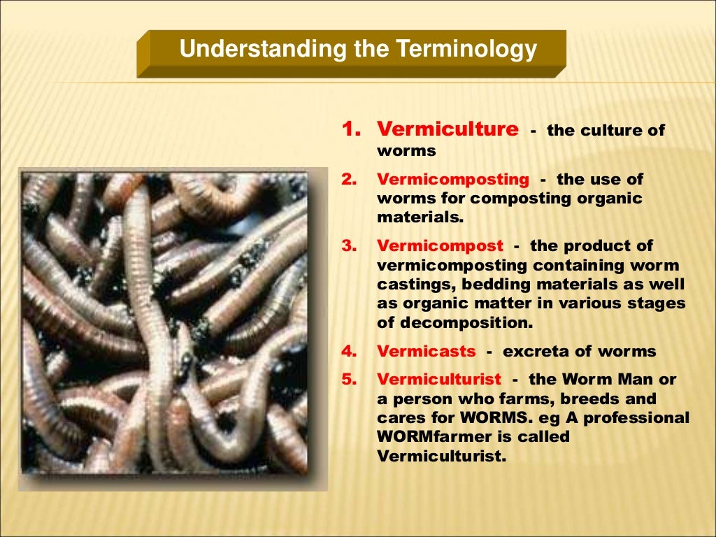 Vermiculture techniques and advantages