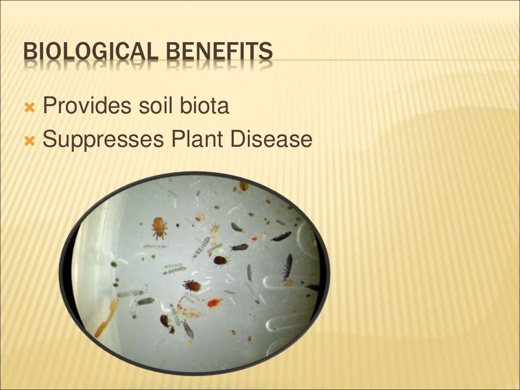 Vermiculture techniques and advantages