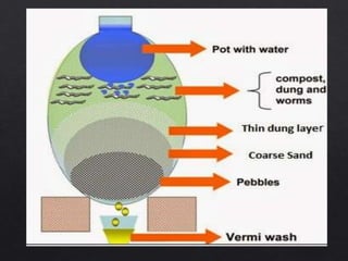 Vermiculture | PPTX